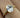 Bague Mini Lucent Oval - Argent Blanc